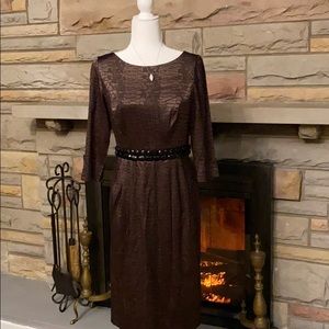 Alex Evenings brown long sleeve dress size 6